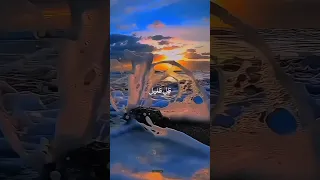 البدر كطلعته وجه جميل والشمس كبسته ظل ظليل هو عبد الله 