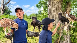 He Walks Into the Field With a Whole Team of Raptors! 😱🦅🔥