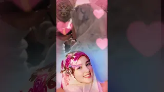 قلبي المداح ترند اكسبلور تصميمي المنشدة ندى محمود  قلبي المداح ترند اكسبلور تصميمي المنشدة ندى محمود