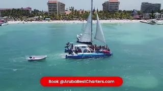 Dolphin 1 Aruba Catamaran Review Vetted by Capt Paul