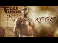Download Lagu Flo Rida - R.O.O.T.S. [Official Audio]