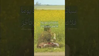 سيأتيك الذي ترجوه يوما  سيأتيك الذي ترجوه يوما