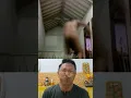 Download Lagu Tahan Tawa Vs Kopi Pahit..!! 😅🤣 #lucu #lucungakak #semua #viral #shorts #tahantawa #ngakak