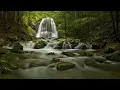 DJ Khaled: I'm the One ft  Justin Bieber, Quavo, Chance the Rapper, Lil Wayne (10 HOURS)