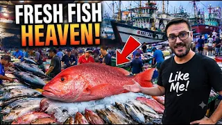 Amazing Fishing Skills Fresh Fish Market and Giant Fishing Boat