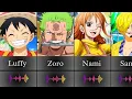 Download Lagu All Straw Hats Characters Theme Song