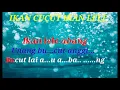 Download Lagu Karaoke tapsel ikan cucut ikan lele