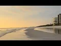 How to Predict the Sandbar Tide Chart 101 for Beach Lovers - on Vanderbilt Beach