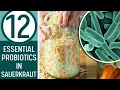 Download Lagu 12 PROBIOTICS IN SAUERKRAUT - Does Your Kraut Have Them?