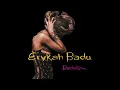 Erykah Badu - Appletree