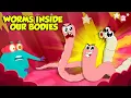 Lagu Terrifying Parasites Inside the Human Body | Tapeworms, Hookworm, Roundworm \u0026 More | Dr. Binocs Show