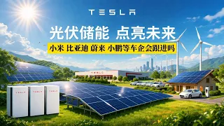 懂投哥解读特斯拉、小米、阿里估值核心逻辑，找对安全边际，才不会被深套！
