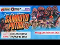 Lagu Live Jaranan SAMBOYO PUTRO Live Pehwetan Papar Kediri JORDAN AUDIO
