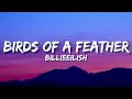 Billie Eilish - BIRDS OF A FEATHER (Lyrics)