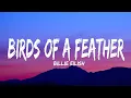 Download Lagu Billie Eilish - BIRDS OF A FEATHER (Lyrics)
