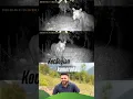 Download Lagu Fotokapana takılanları derledim.Son olarak ayıyı bekliyodum nihayet teşrif etti😄