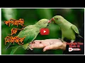 Download Lagu Islamic Music | Free copyright music video | no copyright | #audio_library #copyrightfreeMusicIB