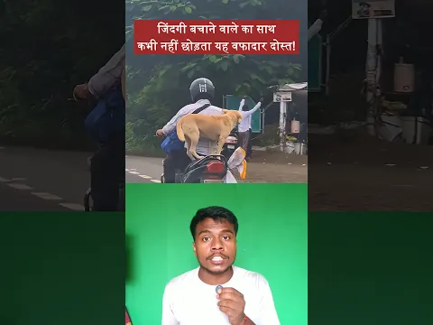 मुंबई की सड़कों पर बाइक पर खड़ा वफादार कुत्ता, इंसानी दोस्ती की मिसाल! 🐕🏍️