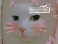 omg ur like a toddler become 3 0 ug sub