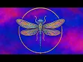 Download Lagu Yusufçuk Günleri 💛Güneş Jupiter Kavuşumu🩵Aşk Kabuklarından Sıyrılıp Hakikate ve Işığa Kanatlanmak 🪽🦋