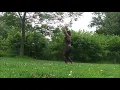 "Sekkle & Bop" - Mr. Eazi, Dre Skull, Popcaan - Belly Dance on Toes!