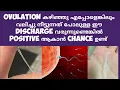 Egg white discharge in Early Pregnancy Deechus world Malayalam