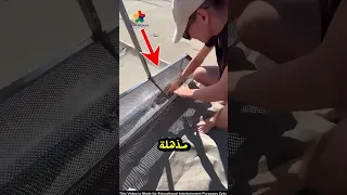 لن تصدق الكنز الذي وجده هذا الرجل أثناء تنظيف الشاطئ 