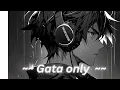 GATA ONLYYYY | 3D AUDIO BEST EXPERIENCE / ~Use headphones for better experience ~