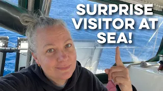Dodging Cargo Ships in Rolly Seas – Sailing from Spain to Tunisia, Part 3 | DrakeParagon Sailing