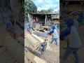 Download Lagu penggergajian mengolah kayu pendek #woodwork #sawing #serkelkayu