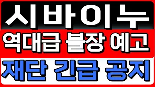 [시바이누 코인전망] 역대급 불장 예고 재단 긴급 공지 #시바이누코인전망 #시바이누코인대응 #시바이누코인분석 #밈코인 #밈코인추천