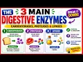 Digestive Enzymes you NEED TO KNOW Carbohydrases proteases lipases Learn easy with examples