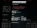 How to check angular CLI version in your PC
