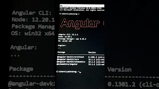 How to check angular CLI version in your PC