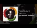 Download Lagu I Shot The Sheriff (Africa Unite, 2005) - Bob Marley \u0026 The Wailers