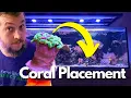 What s The Perfect Coral Placement in a Reef Aquarium A Beginners Guide