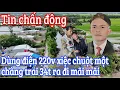 Download Lagu Chàng trai 34 tuổi đi cắm câu thì bị xiệc chuột giật không qua khỏi