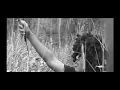 hingga akhir nanti by alleycats directed by kamalsabran