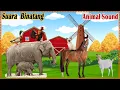 Lagu Kumpulan Suara Binatang | Animal Sounds