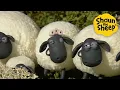 Download Lagu Mama Sheep🐑 Shaun the Sheep 🐑 - Cartoons for Kids 🐑 Full Episodes Compilation [1 hour]