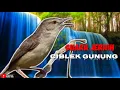 Download Lagu CIBLEK GUNUNG NGEBREN PANJANG