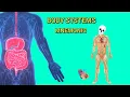 Body Systems EASY Mnemonic to Help Memorize the 11 Organ Systems of the Human Body Anatomy