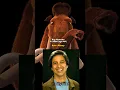 The Ice Age The Meltdown Cast Then And Now