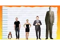 How Tall Is Andrew Lincoln - Height Comparison