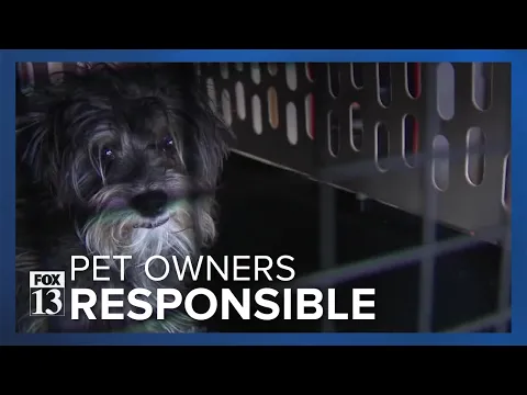 Download MP3 Utah animal rescues and shelters overcrowded as owners abandon pets