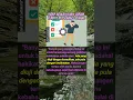 Download Lagu Hidup adalah ujian, bukan tempat bersenang senang #edukasi #motivasi #reminder #quotes #shortvideo