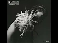 Kalash - Mwaka Moon (feat. Damso)