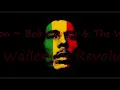 Revolution ~ Bob Marley & The Wailers