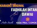 Download Lagu Dawai Karaoke Nada Pria (Fadhilah Intan)