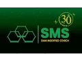 Download Lagu 30 Years SMS memory of success